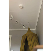 Rum med sänghimmel över en barnsäng och rökdetektor i taket