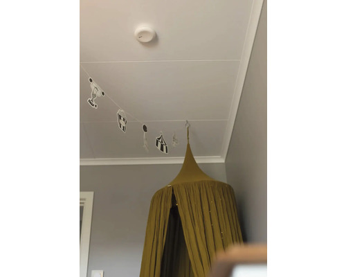 Rum med sänghimmel över en barnsäng och rökdetektor i taket