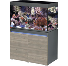 Akvarium med underskåp och marin dekoration
