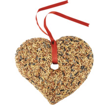 Hjärtformat fågelfoder med upphängningsband