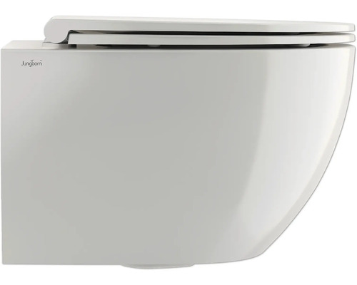 Vägghängd toalett med lock av märket Jungborn