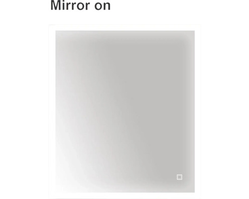 Rektangulär spegel med belysning