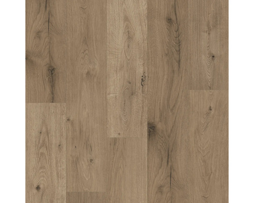 Laminatgolv KAINDL MasterFloor Ferrara wildlife ek