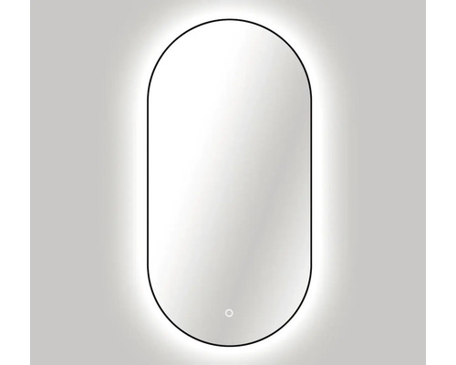 Oval spegel med LED-belysning