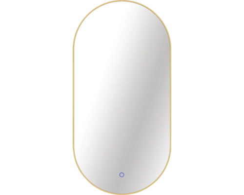 Spegel med belysning CORDIA oval line backlight series guld 50x100 cm touchsensor IP44 LED