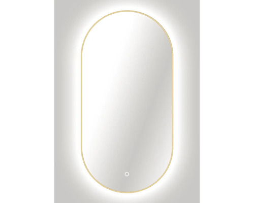 Oval spegel med belysning