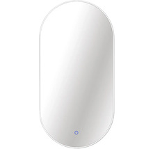 Oval spegel med belysning