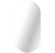 Oval spegel med belysning