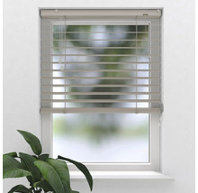 Fönster med horisontella persienner för ljusreglering