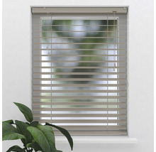 Fönster med horisontella persienner för ljusreglering