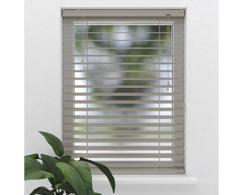 Fönster med horisontella persienner för ljusreglering