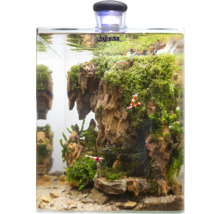 Dekorativt akvarium med stenar, mossa och räkor