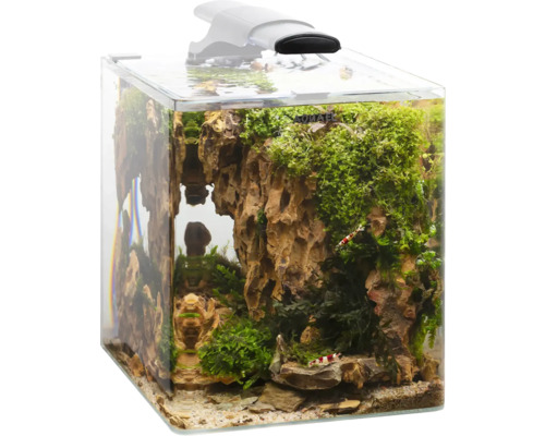 Akvarium med dekoration, växter och räkor