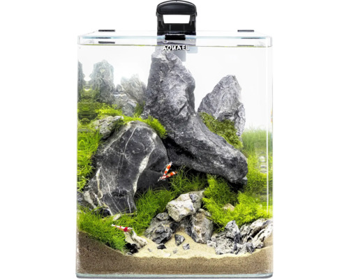 Akvarium med stenar, växter och räkor