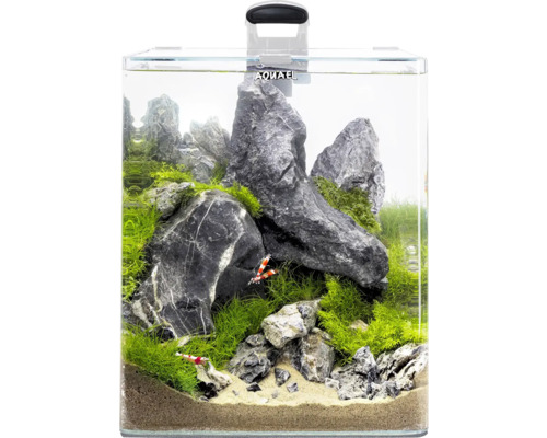 Dekorativt akvarium med stenar, växter och räkor