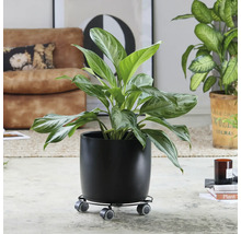 Blomvagn WAGNER SYSTEM Multi Roller stål Ø30cm grå