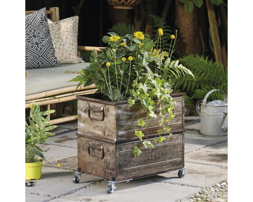 Metallplanteringskärl i vintagestil på hjul med plantering
