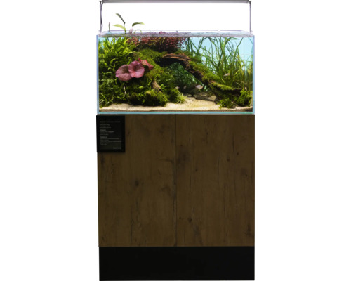 Inrett akvarium med underskåp