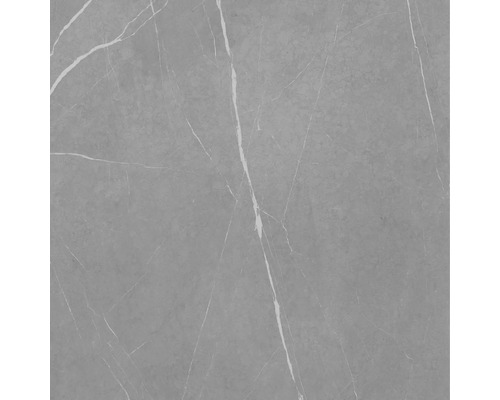 Grå kakelplatta med marmorlook