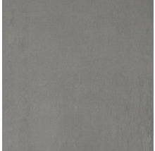 Utomhusklinker FLAIRSTONE Granitkeramik Titan 60x60x3 cm