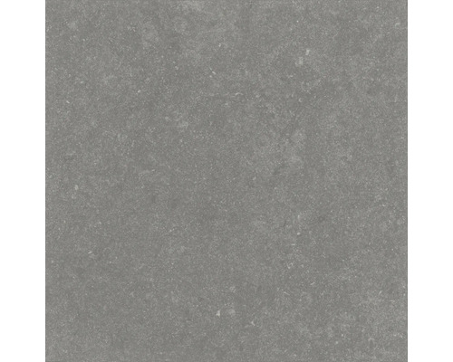 Grå golvplatta av stengods