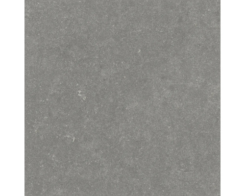 Grå keramisk golvplatta