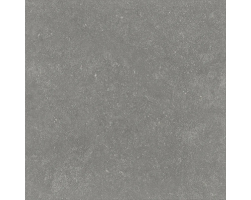 Grå keramisk golvplatta