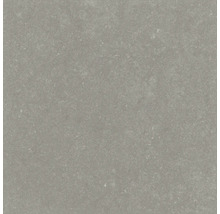 Utomhusklinker FLAIRSTONE Granitkeramik Skyfall beige 90x90x3 cm