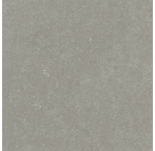Utomhusklinker FLAIRSTONE Granitkeramik Skyfall beige 90x90x3 cm