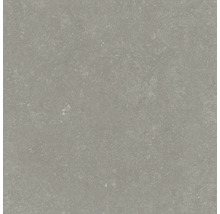 Utomhusklinker FLAIRSTONE Granitkeramik Skyfall beige 90x90x3 cm
