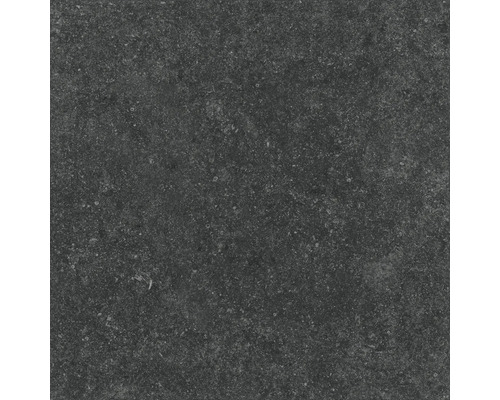 Mörk stengods platta med matt yta