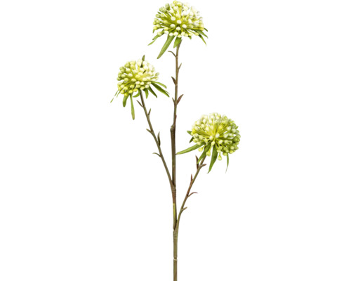 Konstväxt Allium 62cm grön-vit