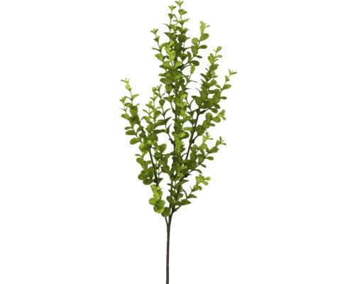 Konstväxt euakalyptusgren 62cm grön