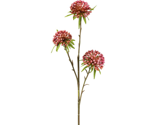 Konstväxt Allium 62cm rosa