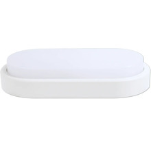 Oval LED-taklampa
