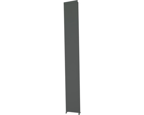 Panel MIRADOR Classic, Deluxe 31x235cm antracit