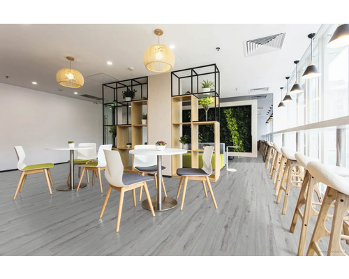 Ljust rum med bord, stolar och hyllor med växter på grått trägolv