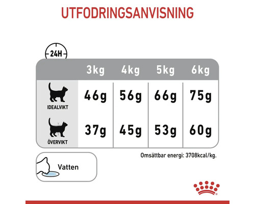 Utfodringsanvisning för katter med idealvikt och övervikt