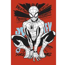 Spider-Man illustration med inskriptionen stor makt, stort ansvar
