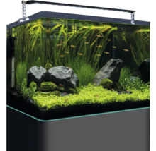 Akvarium med växter, fiskar och belysning
