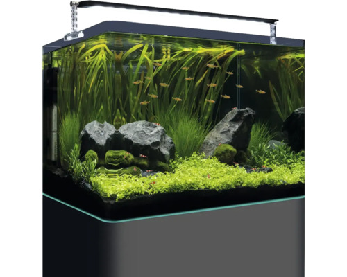 Akvarium med växter, fiskar och belysning
