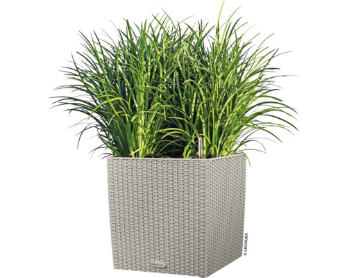 Fyrkantig blomlåda med gröna växter