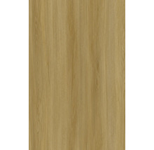 Trästruktur som bakgrund för byggmaterial