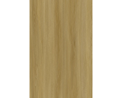 Trästruktur som bakgrund för byggmaterial