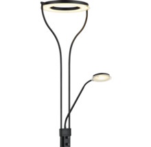 Golvlampa med två ljusarmar och runda lampskärmar