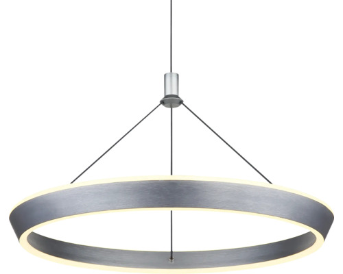 Ringformad hänglampa med upphängning