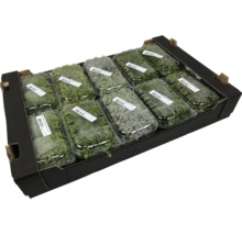 Mossplattor i en låda