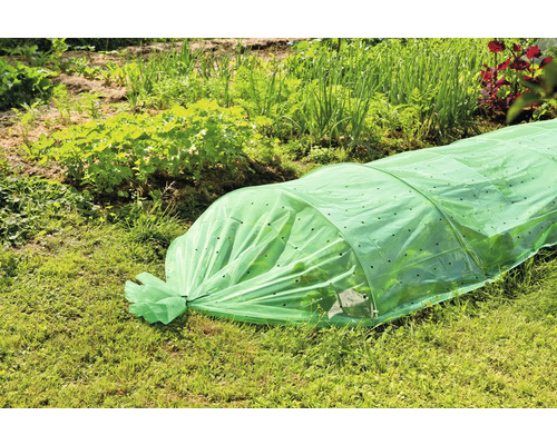 Trädgårdsscen med ett miniväxthus för att skydda växter