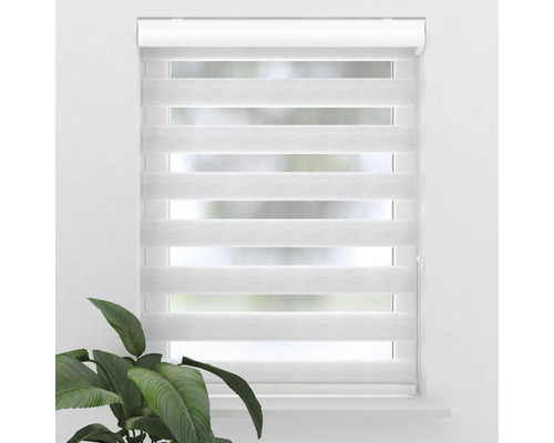 Fönster med en horisontell dubbel rullgardin för ljusreglering