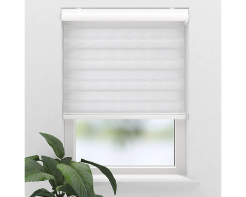 Fönster med rullgardin för insynsskydd